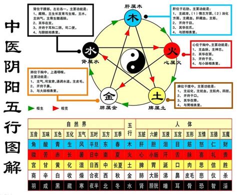 八字 生剋